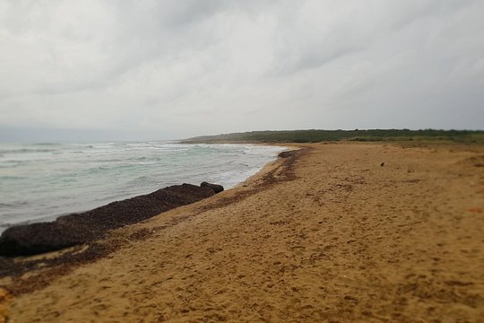 Tour image 10